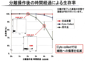 クリックすると拡大します